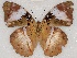  ( - ABRI_341)  @11 [ ] Unspecified (default): All Rights Reserved  Unspecified Unspecified