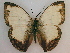  ( - RMCA-RV-219)  @11 [ ] Unspecified (default): All Rights Reserved  Unspecified Unspecified
