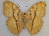  ( - RMCA-RV-219)  @11 [ ] Unspecified (default): All Rights Reserved  Unspecified Unspecified