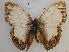  ( - RMCA-RV-220)  @13 [ ] Unspecified (default): All Rights Reserved  Unspecified Unspecified