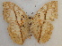 ( - RMCA-RV-220)  @12 [ ] Unspecified (default): All Rights Reserved  Unspecified Unspecified