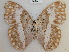  ( - RMCA-RV-221)  @12 [ ] Unspecified (default): All Rights Reserved  Unspecified Unspecified