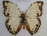  ( - RMCA-RV-237)  @14 [ ] Unspecified (default): All Rights Reserved  Unspecified Unspecified