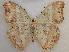 ( - RMCA-RV-237)  @14 [ ] Unspecified (default): All Rights Reserved  Unspecified Unspecified