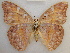  ( - RMCA-RV-239)  @14 [ ] Unspecified (default): All Rights Reserved  Unspecified Unspecified