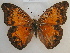  ( - RMCA-RV-241)  @14 [ ] Unspecified (default): All Rights Reserved  Unspecified Unspecified