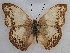  ( - RMCA-RV-242)  @12 [ ] Unspecified (default): All Rights Reserved  Unspecified Unspecified
