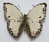  ( - GW_13702)  @14 [ ] Unspecified (default): All Rights Reserved  Unspecified Unspecified