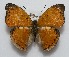  ( - GW_13917)  @11 [ ] Unspecified (default): All Rights Reserved  Unspecified Unspecified