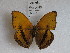 ( - ABRI_482)  @13 [ ] CreativeCommons - Attribution Non-Commercial No Derivatives (2012) R. van Velzen Wageningen University