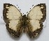  ( - RD_072)  @13 [ ] Unspecified (default): All Rights Reserved  Unspecified Unspecified