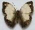  ( - RD_073)  @13 [ ] Unspecified (default): All Rights Reserved  Unspecified Unspecified