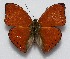  ( - RD_079)  @13 [ ] Unspecified (default): All Rights Reserved  Unspecified Unspecified