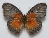  ( - RD_082)  @11 [ ] Unspecified (default): All Rights Reserved  Unspecified Unspecified