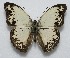  ( - RD_094)  @15 [ ] Unspecified (default): All Rights Reserved  Unspecified Unspecified