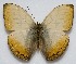  ( - RD_097)  @14 [ ] Unspecified (default): All Rights Reserved  Unspecified Unspecified