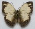  ( - RD_099)  @13 [ ] Unspecified (default): All Rights Reserved  Unspecified Unspecified