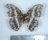  ( - GW_3124)  @12 [ ] Unspecified (default): All Rights Reserved  Unspecified Unspecified