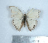  ( - GW_3069)  @12 [ ] Unspecified (default): All Rights Reserved  Unspecified Unspecified