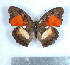 ( - GW_12294)  @14 [ ] Unspecified (default): All Rights Reserved  Unspecified Unspecified