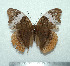  ( - GW_7415)  @13 [ ] Unspecified (default): All Rights Reserved  Unspecified Unspecified