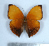  ( - GW_3880)  @11 [ ] Unspecified (default): All Rights Reserved  Unspecified Unspecified