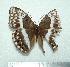  ( - GW_5736)  @12 [ ] Unspecified (default): All Rights Reserved  Unspecified Unspecified