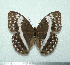  ( - GW_5967)  @13 [ ] Unspecified (default): All Rights Reserved  Unspecified Unspecified