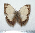  ( - GW_11755)  @13 [ ] Unspecified (default): All Rights Reserved  Unspecified Unspecified
