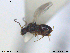  ( - CYNNI154)  @12 [ ] CreativeCommons - Attribution Non-Commercial Share-Alike (2013) Arnstein Staverlokk Norwegian Institute of Nature Research