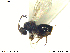  ( - CYNNI224)  @12 [ ] CreativeCommons - Attribution Non-Commercial Share-Alike (2013) Arnstein Staverlokk Norwegian Institute of Nature Research
