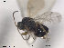  ( - CYNNI46)  @12 [ ] CreativeCommons - Attribution Non-Commercial Share-Alike (2013) Arnstein Staverlokk Norwegian Institute of Nature Research