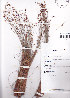  ( - AMM2200)  @11 [ ] No Rights Reserved  Unspecified Unspecified
