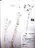  ( - AMM2217)  @11 [ ] No Rights Reserved  Unspecified Unspecified