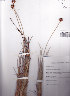  ( - AMM2225)  @11 [ ] No Rights Reserved  Unspecified Unspecified