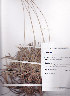  ( - AMM2361)  @11 [ ] No Rights Reserved  Unspecified Unspecified