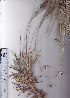  ( - AMM2939)  @11 [ ] No Rights Reserved  Unspecified Unspecified