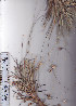  ( - AMM2939)  @11 [ ] No Rights Reserved  Unspecified Unspecified