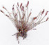  ( - AMM2972)  @11 [ ] No Rights Reserved  Unspecified Unspecified