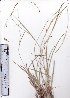  ( - AMM3680)  @11 [ ] No Rights Reserved  Unspecified Unspecified