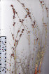  ( - AMM5310)  @11 [ ] No Rights Reserved  Unspecified Unspecified
