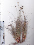  ( - AMM5495)  @11 [ ] No Rights Reserved  Unspecified Unspecified