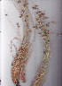  ( - AMM5688)  @11 [ ] No Rights Reserved  Unspecified Unspecified