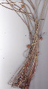  ( - AMM5704)  @11 [ ] No Rights Reserved  Unspecified Unspecified