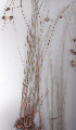  ( - AMM5764)  @11 [ ] No Rights Reserved  Unspecified Unspecified