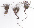  ( - AMM5830)  @11 [ ] No Rights Reserved  Unspecified Unspecified