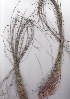  ( - AMM5870)  @11 [ ] No Rights Reserved  Unspecified Unspecified