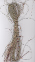  ( - AMM5873)  @11 [ ] No Rights Reserved  Unspecified Unspecified