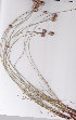  ( - AMM5880)  @11 [ ] No Rights Reserved  Unspecified Unspecified