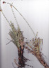  ( - AMM5884)  @11 [ ] No Rights Reserved  Unspecified Unspecified